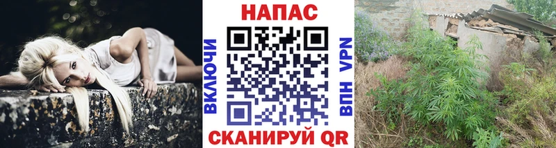 Купить наркотик аптеки Светлоград Бутират  МЕФ  A PVP  АМФЕТАМИН  Гашиш  Марихуана 