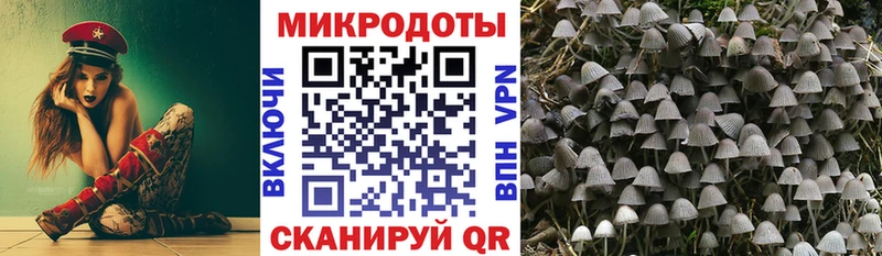 Галлюциногенные грибы Psilocybine cubensis  купить  сайты  Светлоград 
