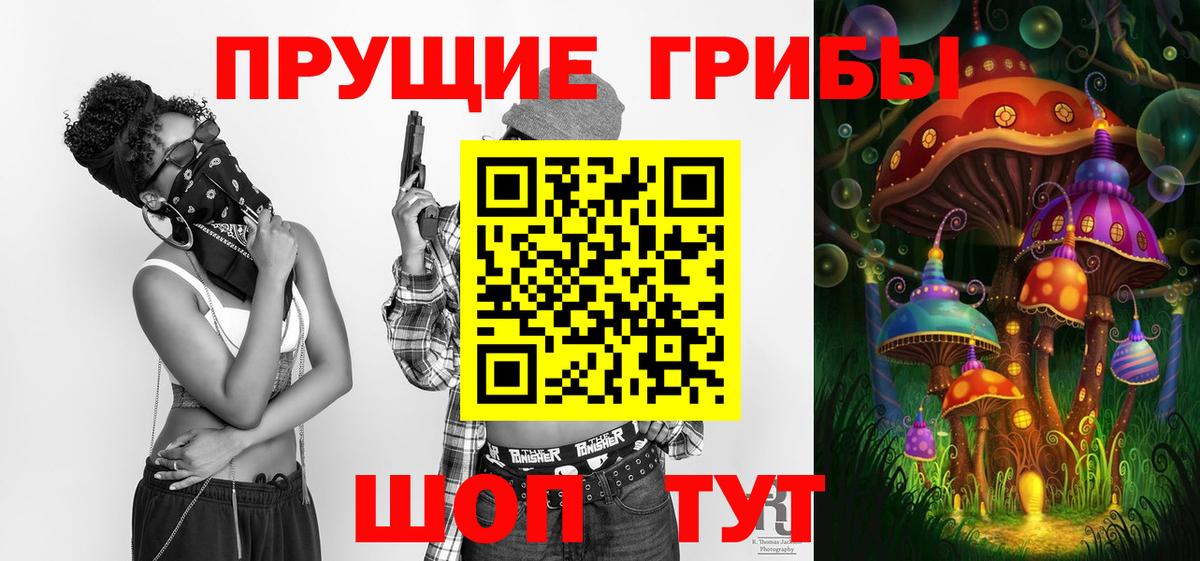 Псилоцибиновые грибы мухоморы Светлоград