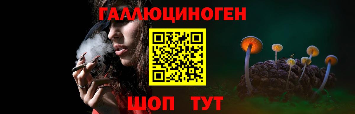 Псилоцибиновые грибы Psilocybine cubensis  цены   Светлоград  Галлюциногенные грибы мицелий 